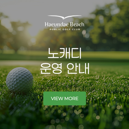 노캐디 운영안내
